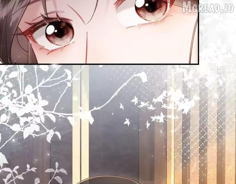 On Our Wedding Night, I Got Pregnant with the Chief Warden’s Child Chapter 51 page 75 - 