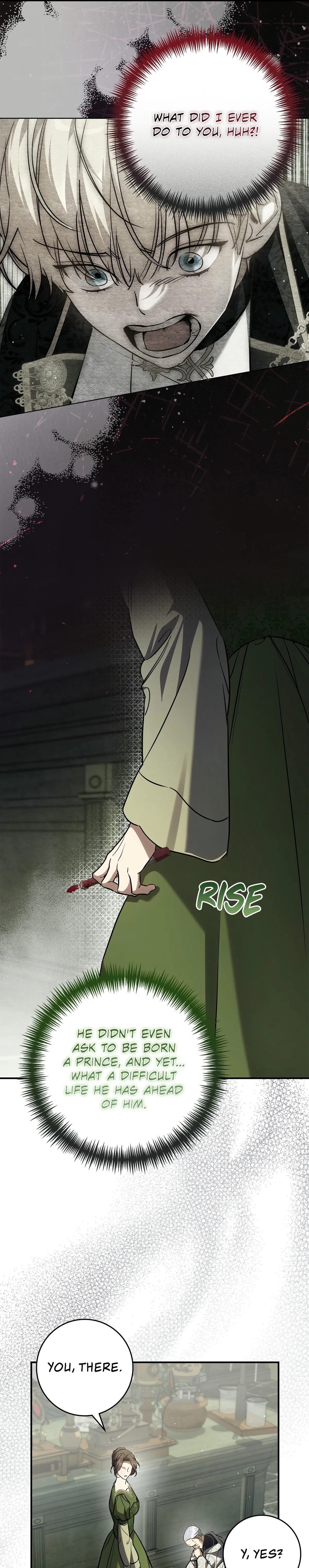 Once an Assassin, Now a Royal Nanny Chapter 22 page 12 - 