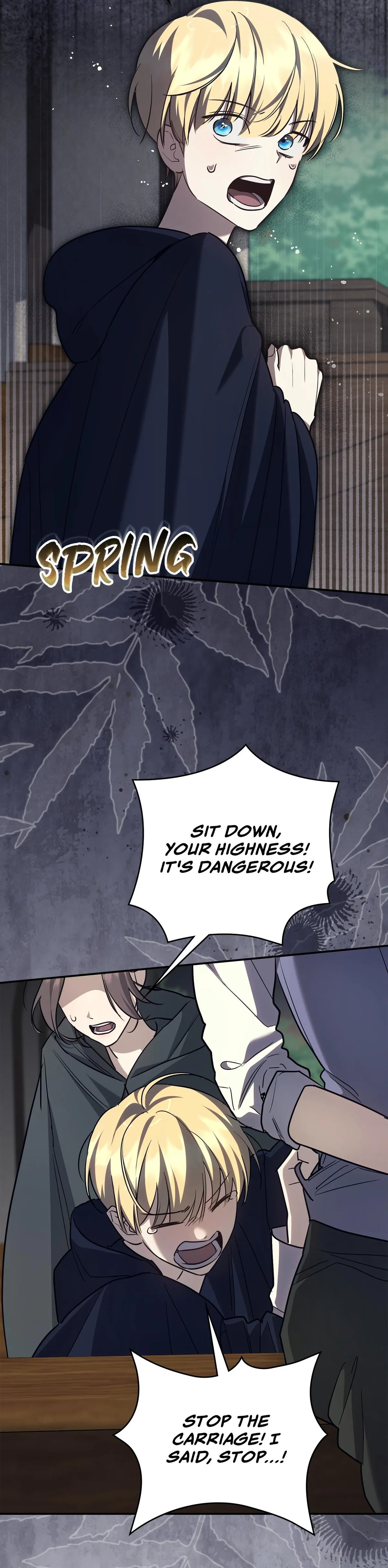 Once an Assassin, Now a Royal Nanny Chapter 25 page 9 - 