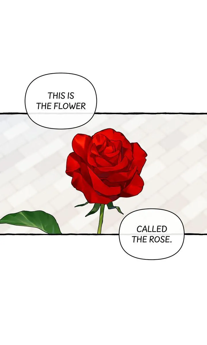 Once upon a time Chapter 28 page 37 - 