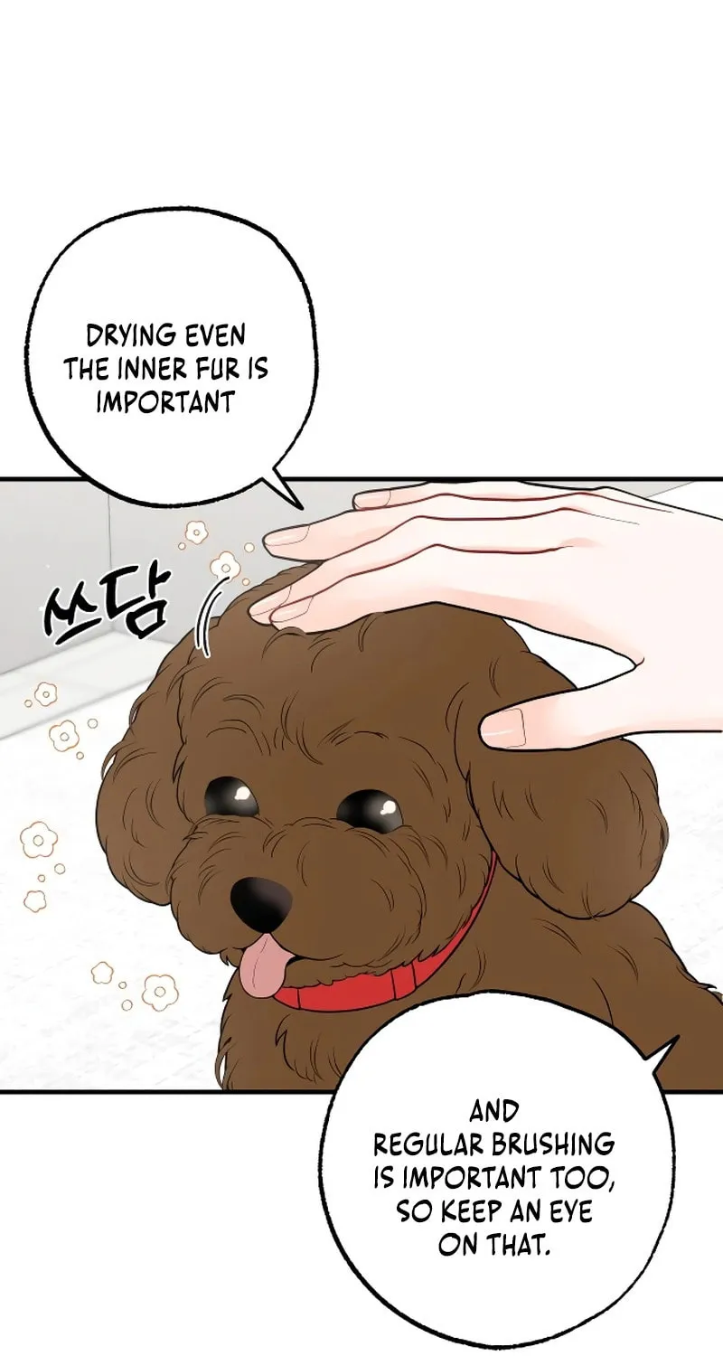 One and Only (Lim Joo-Yi) Chapter 6 page 65 - 