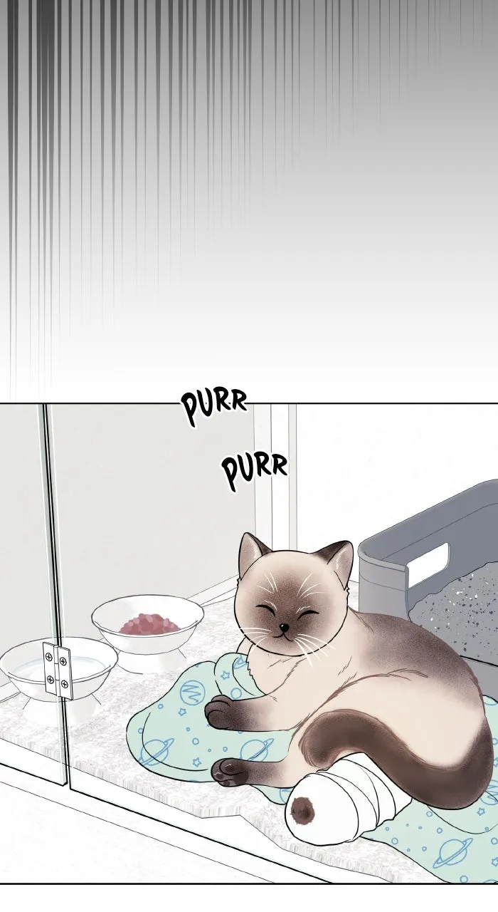 One of Three Chapter 8 page 85 - 