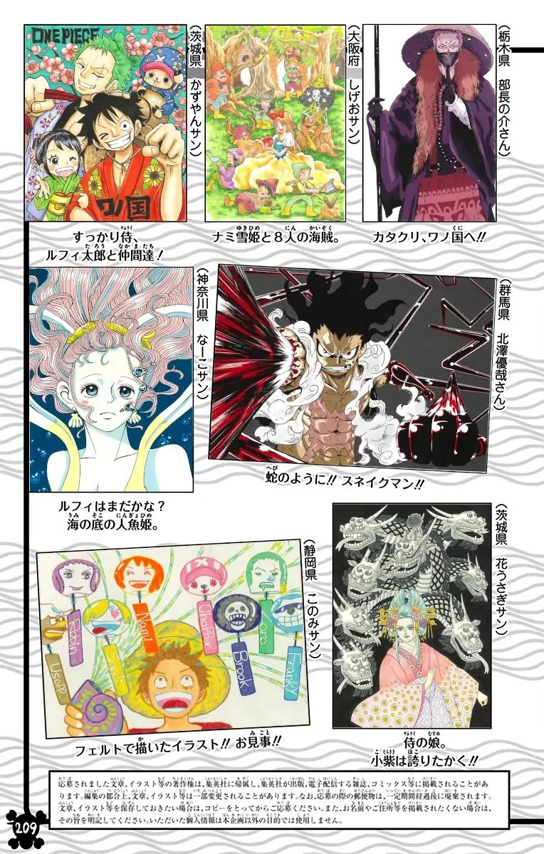 One Piece (Official Colored) Chapter 953 page 19 - 