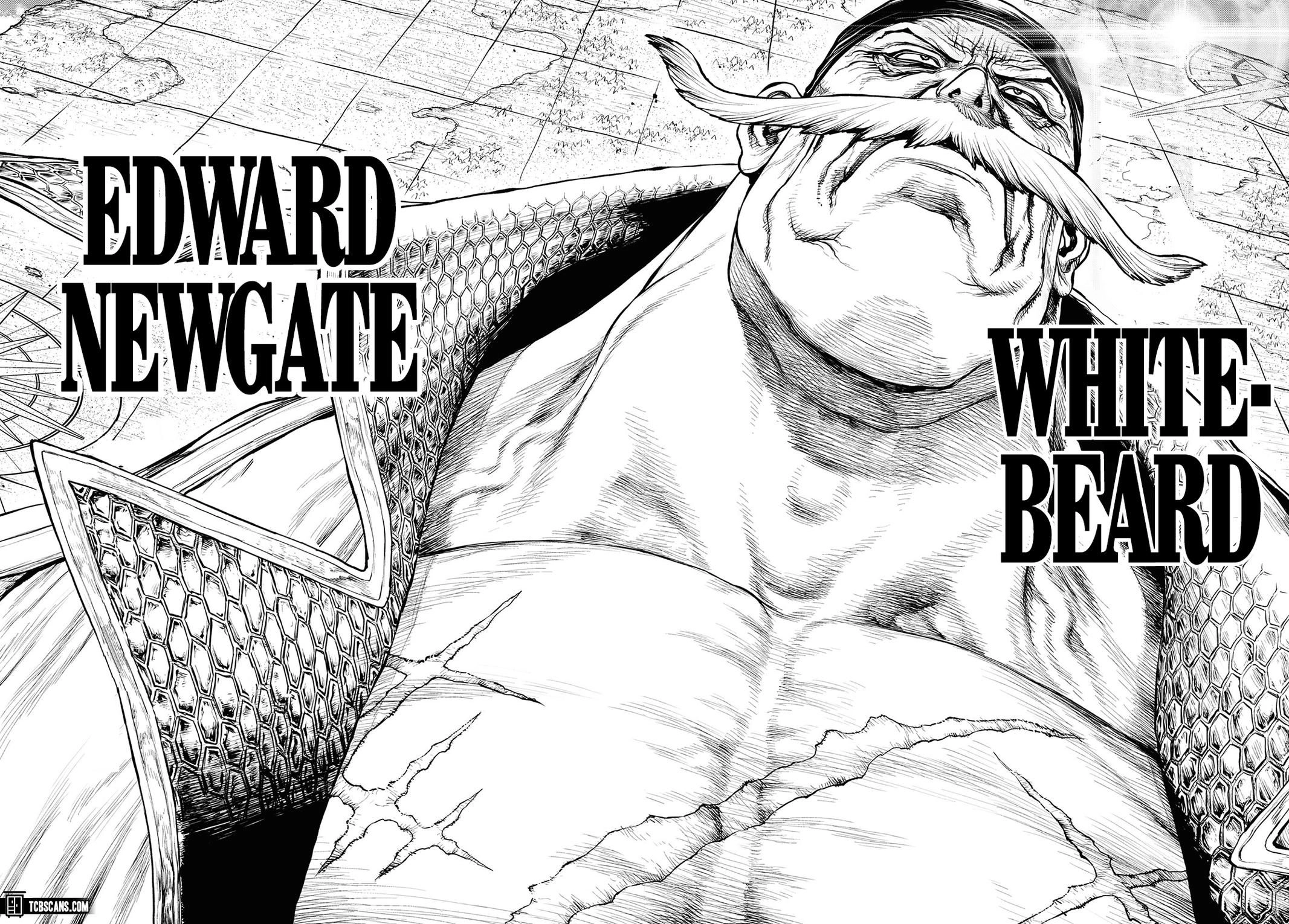 One Piece Chapter 1214 page 41 - 