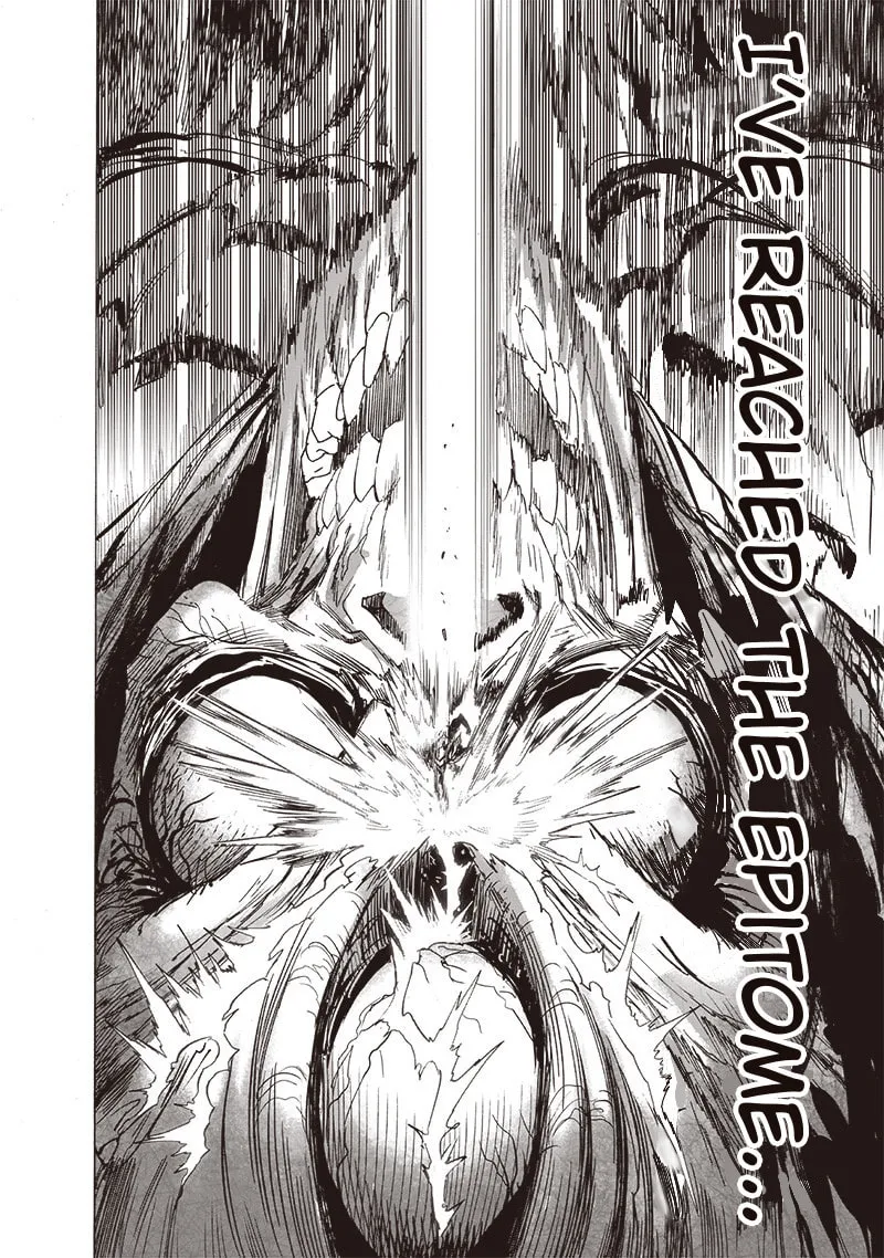 One-Punch Man (Fan Colored) (Colored) Chapter 159 page 17 - 