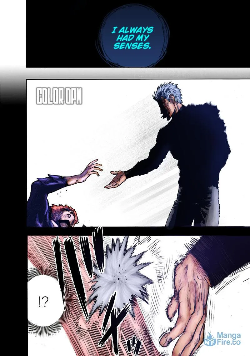 One-Punch Man (Fan Colored) (Colored) Chapter 165.2 page 36 - 