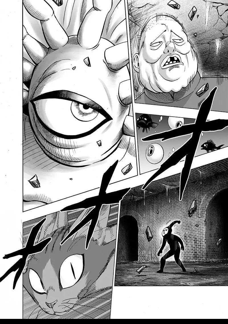 One Punch Man Chapter 106.1 page 24 - 