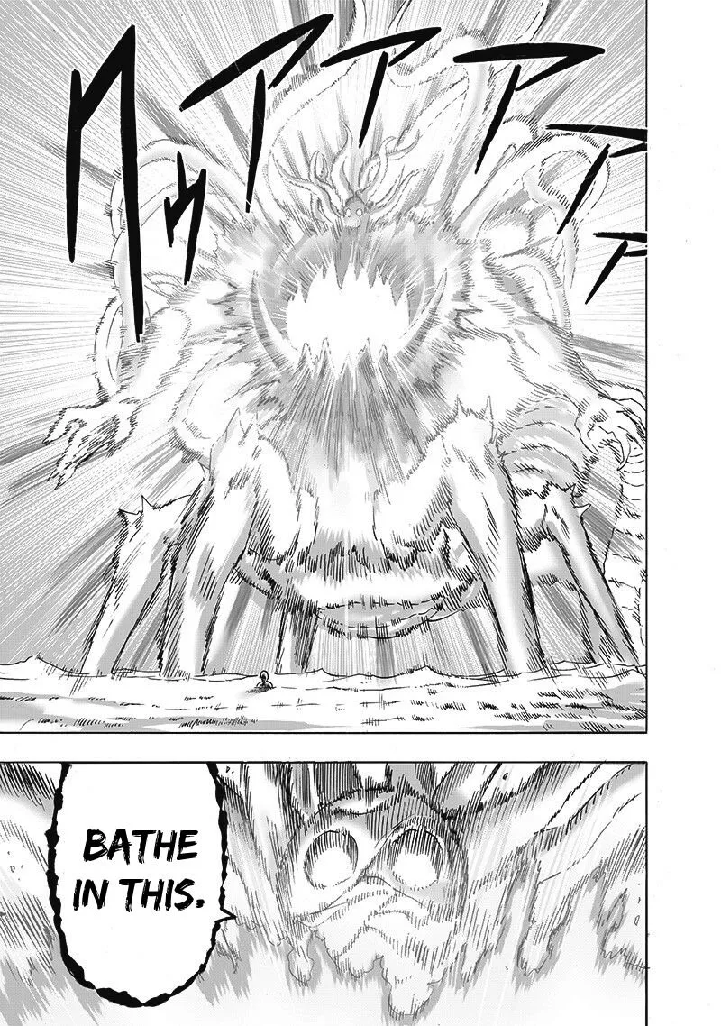 One Punch Man Chapter 108.5 page 30 - 