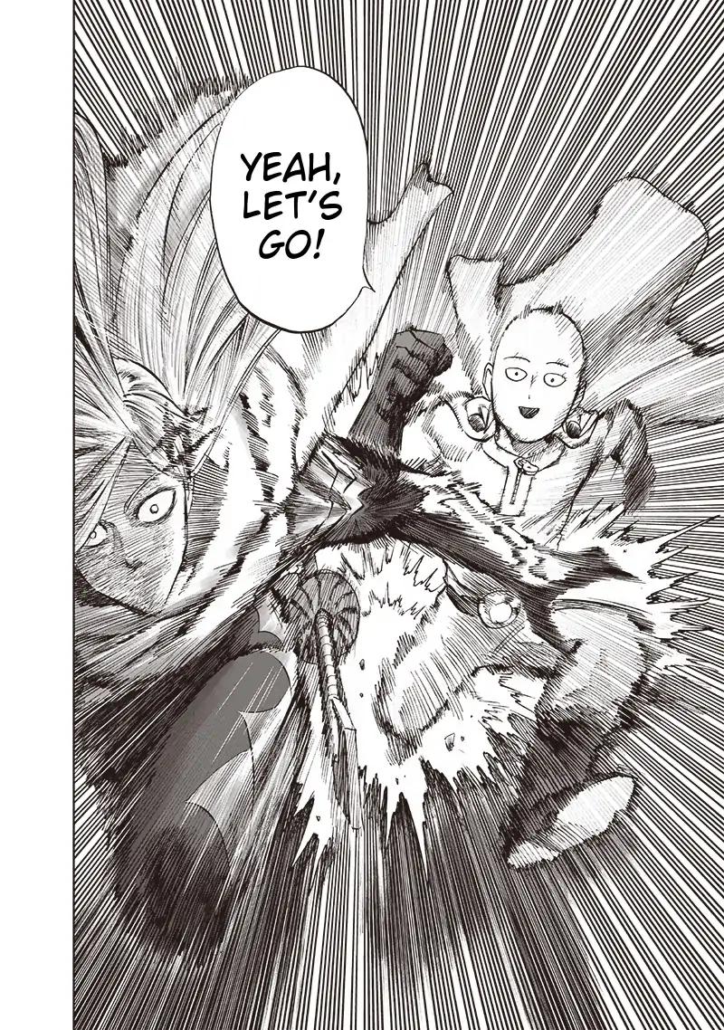 One Punch Man Chapter 115.1 page 28 - 