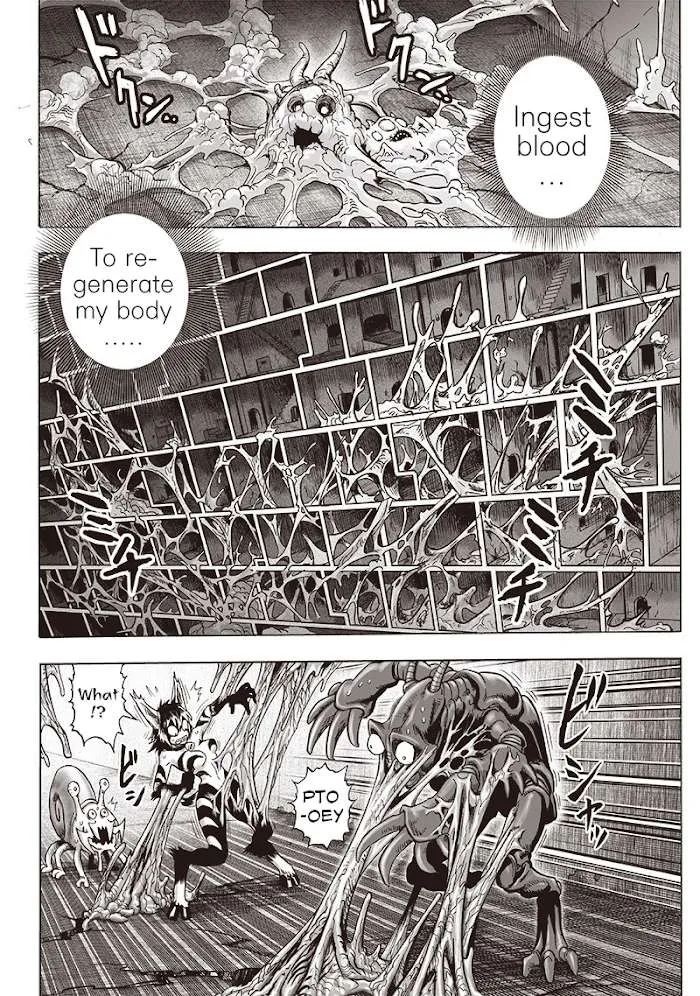 One Punch Man Chapter 127.2 page 19 - 