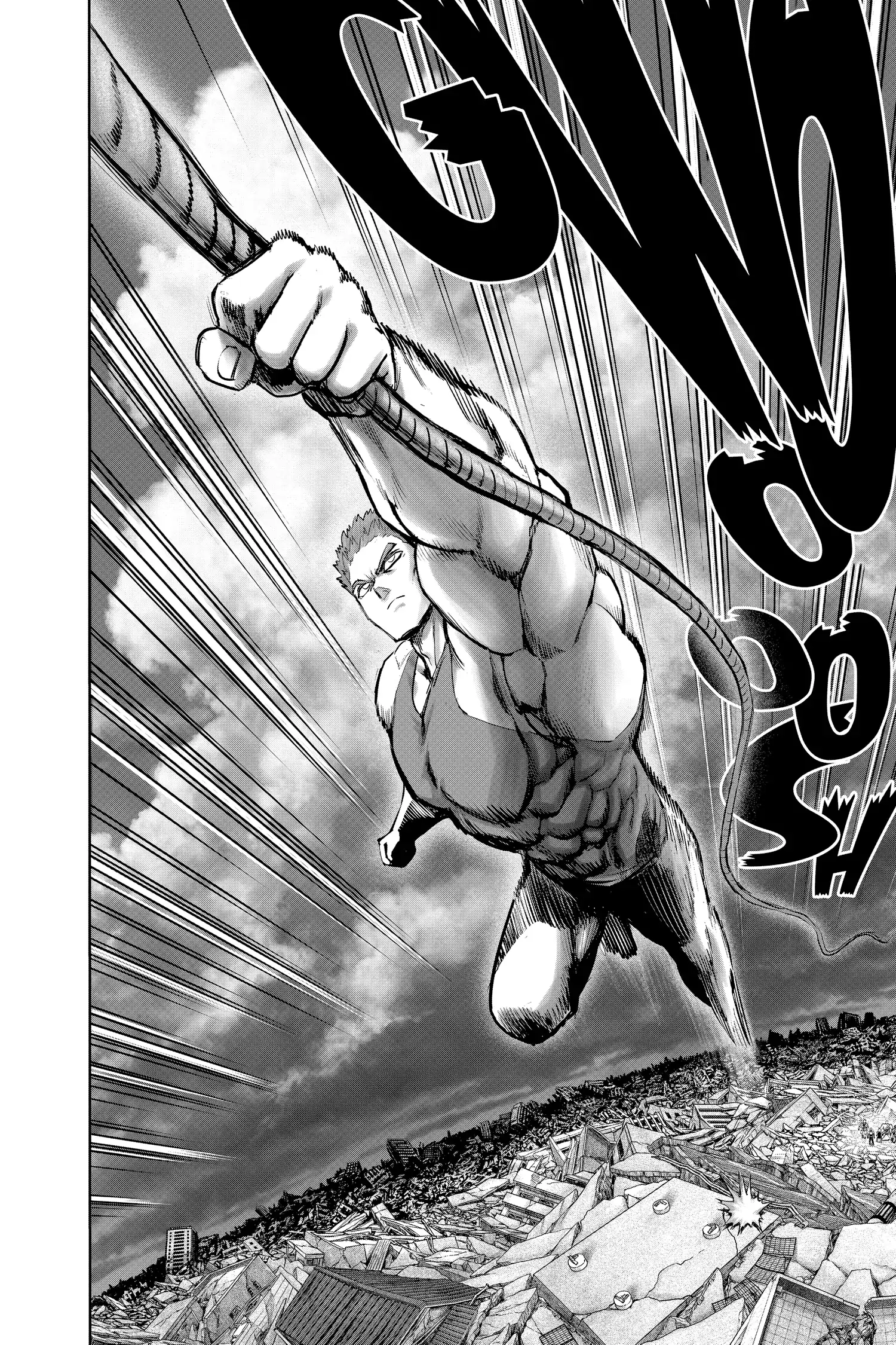 One Punch Man Chapter 139.2 page 17 - 