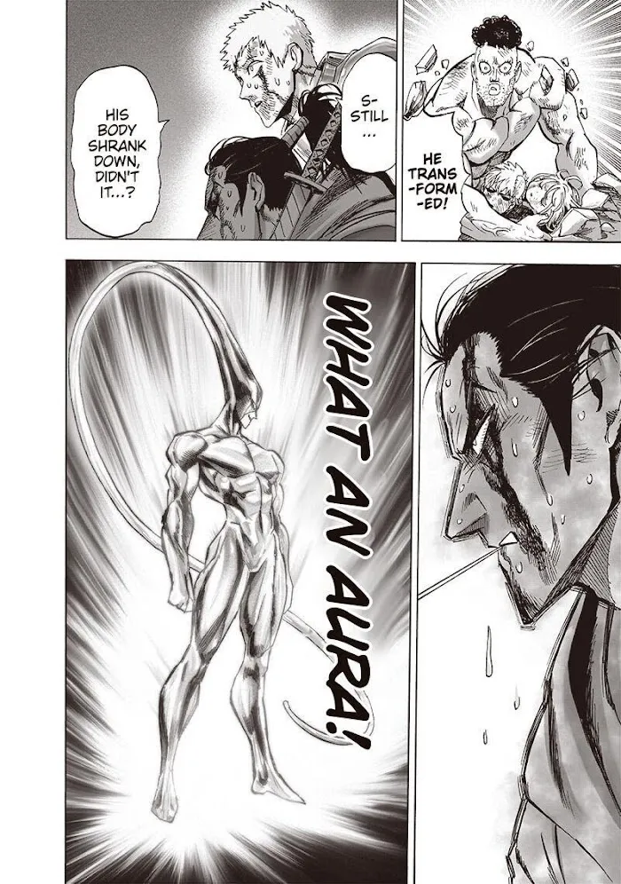 One Punch Man Chapter 154.1 page 4 - 