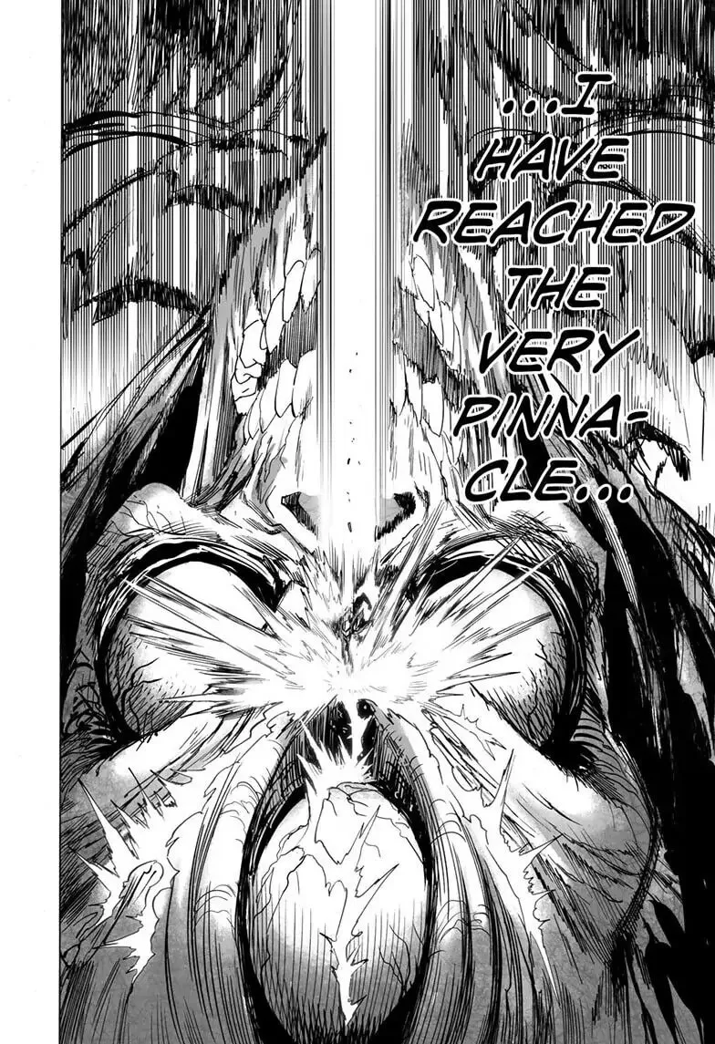 One Punch Man Chapter 157 page 17 - 