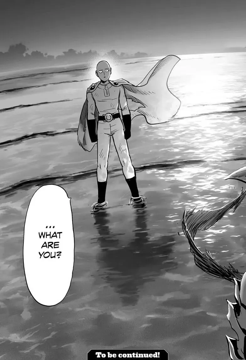 One Punch Man Chapter 158 page 28 - 