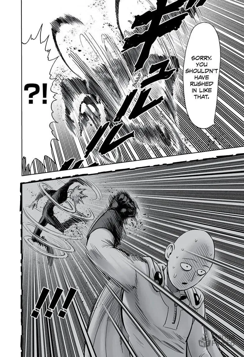 One Punch Man Chapter 159 page 21 - 