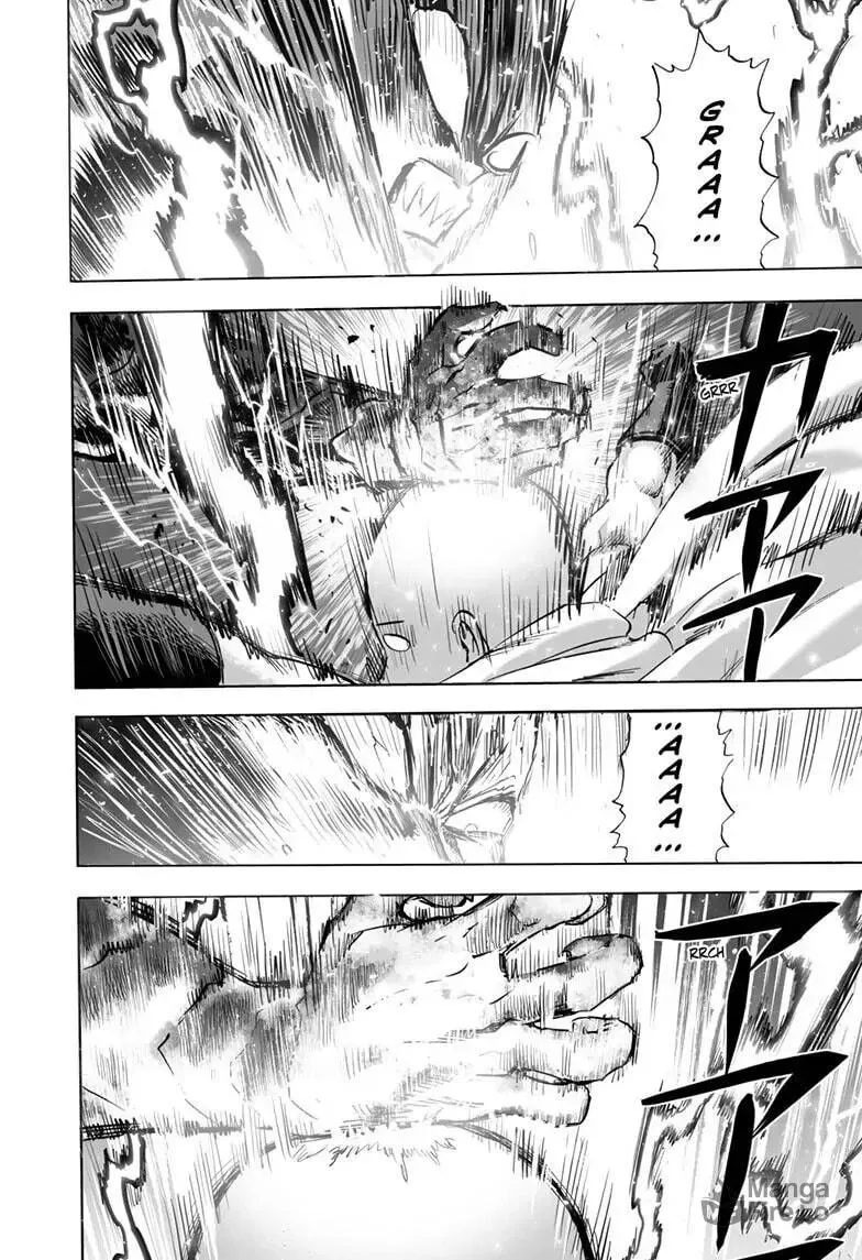 One Punch Man Chapter 160 page 15 - 