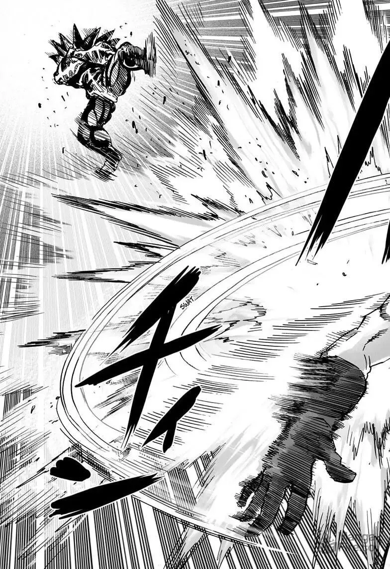 One Punch Man Chapter 160 page 42 - 