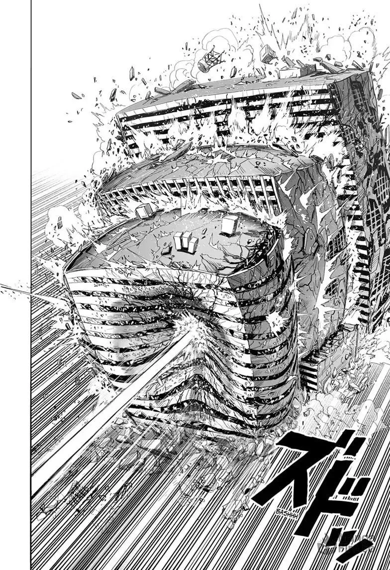 One Punch Man Chapter 161 page 18 - 