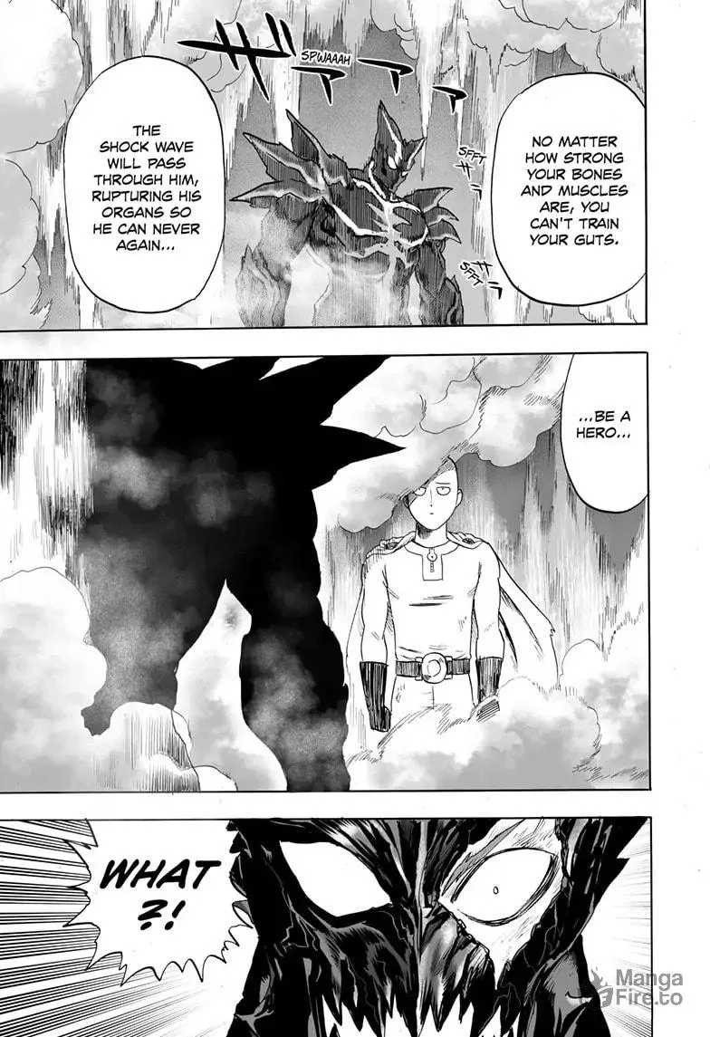 One Punch Man Chapter 161 page 21 - 