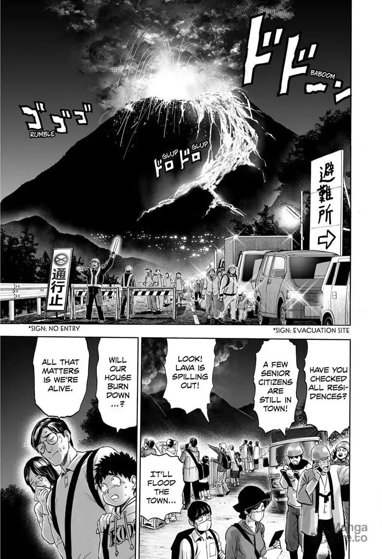 One Punch Man Chapter 161 page 27 - 