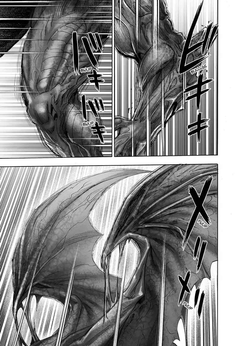 One Punch Man Chapter 161 page 29 - 