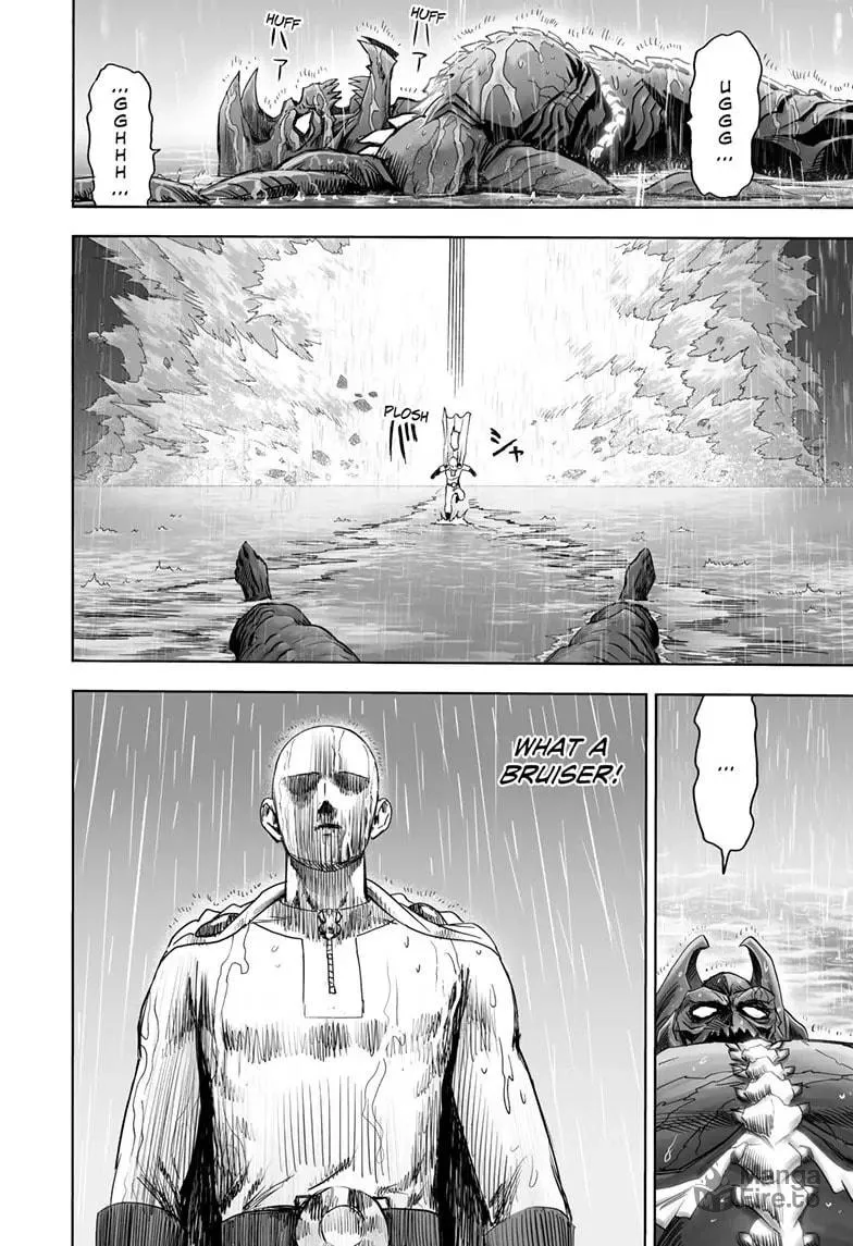 One Punch Man Chapter 162 page 27 - 