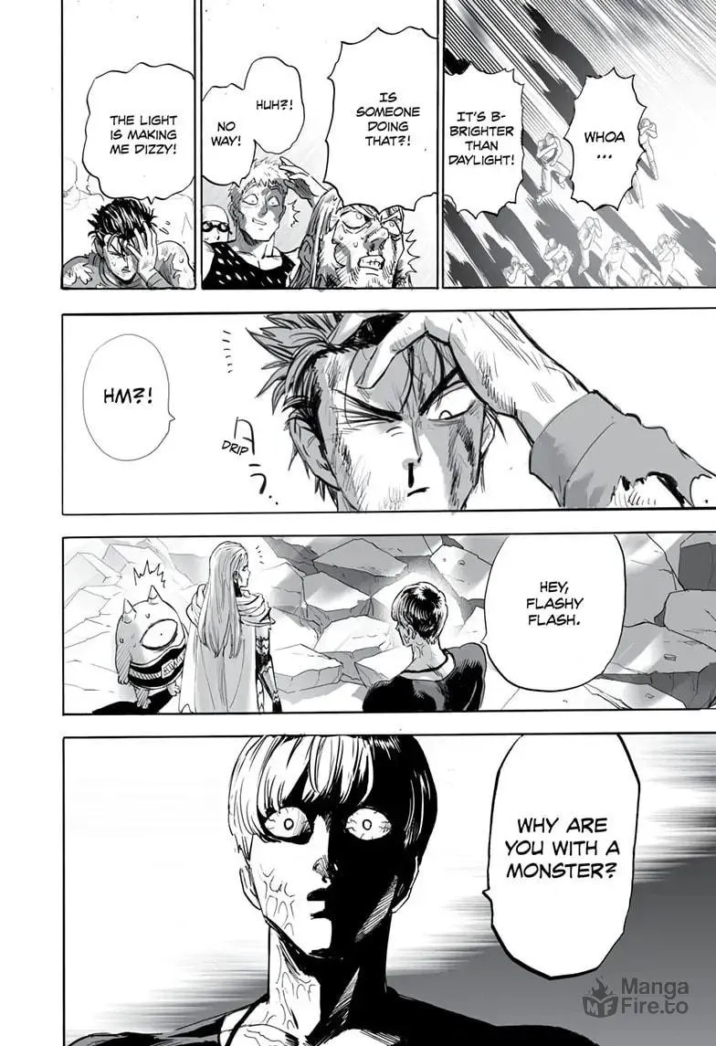 One Punch Man Chapter 163 page 27 - 