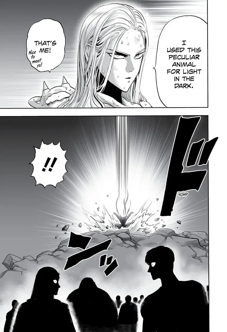 One Punch Man Chapter 163 page 28 - 