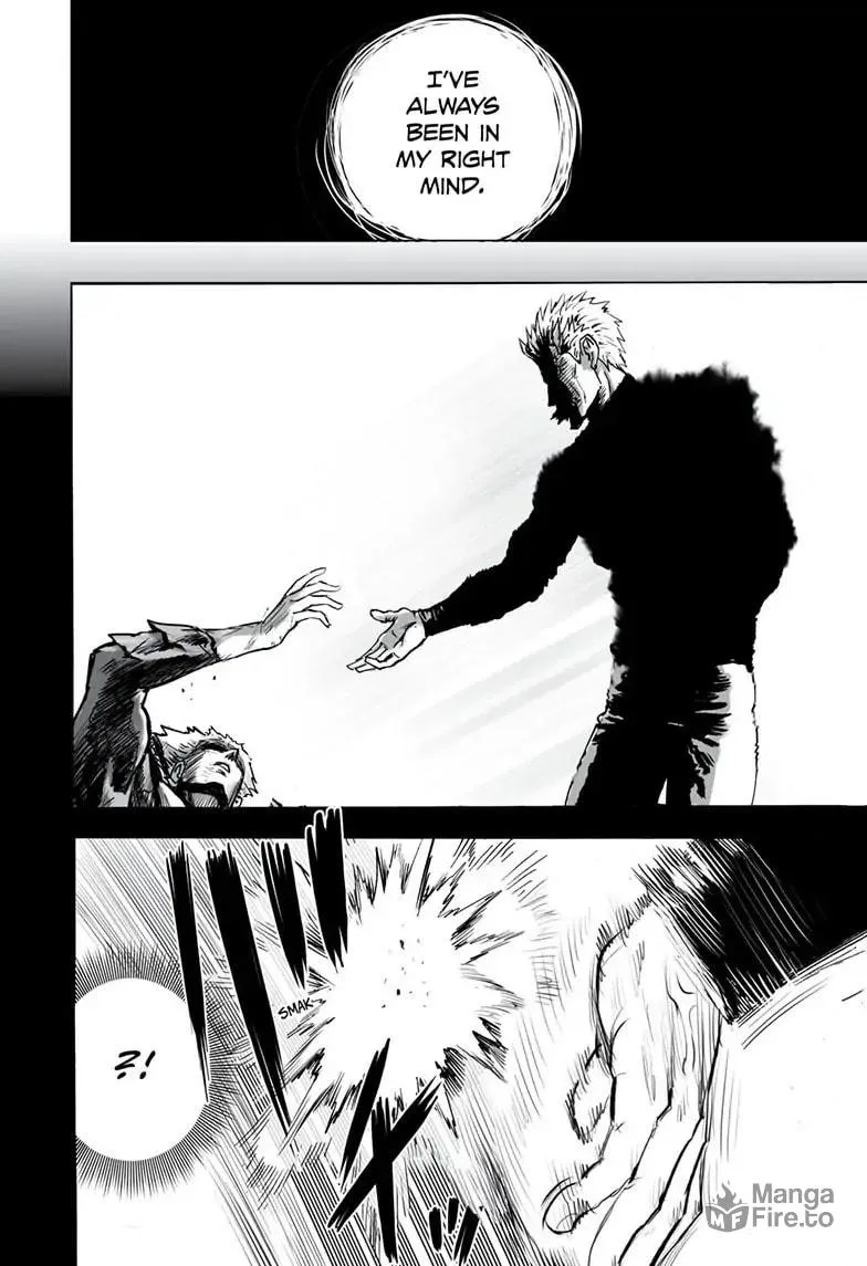 One Punch Man Chapter 163 page 35 - 