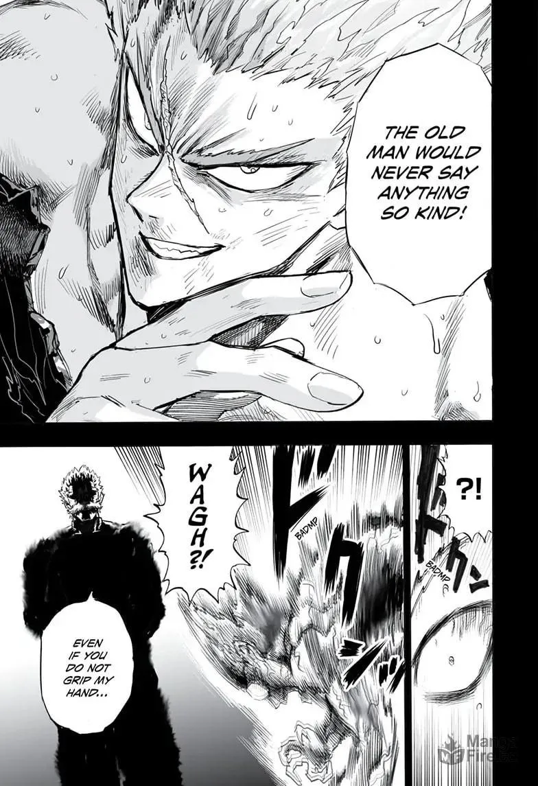 One Punch Man Chapter 163 page 36 - 