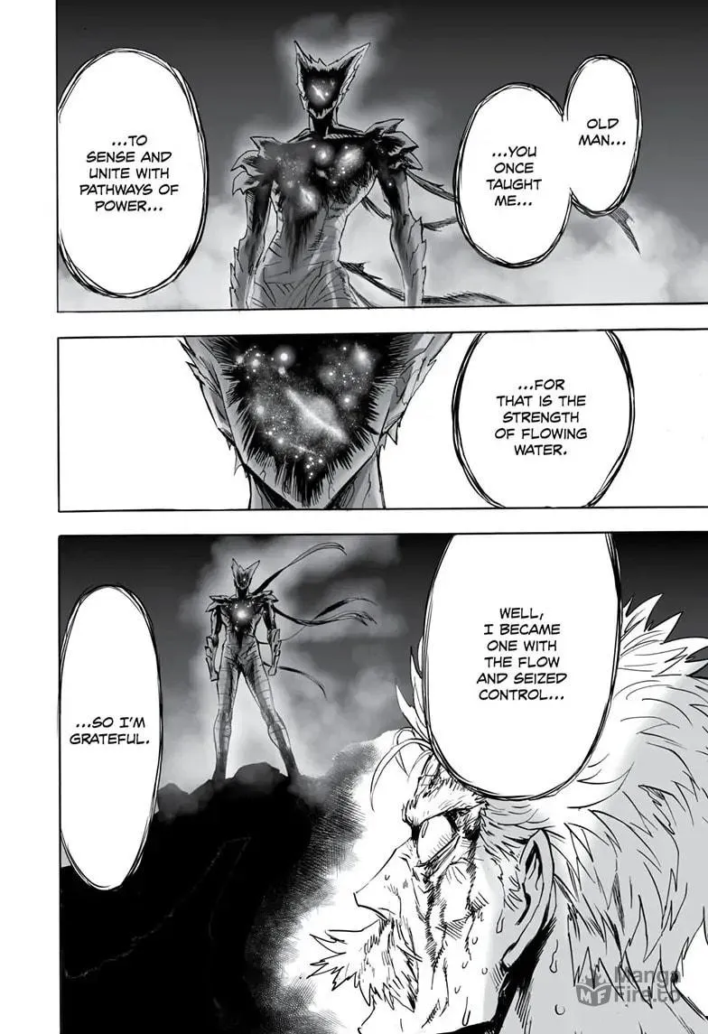 One Punch Man Chapter 163 page 39 - 