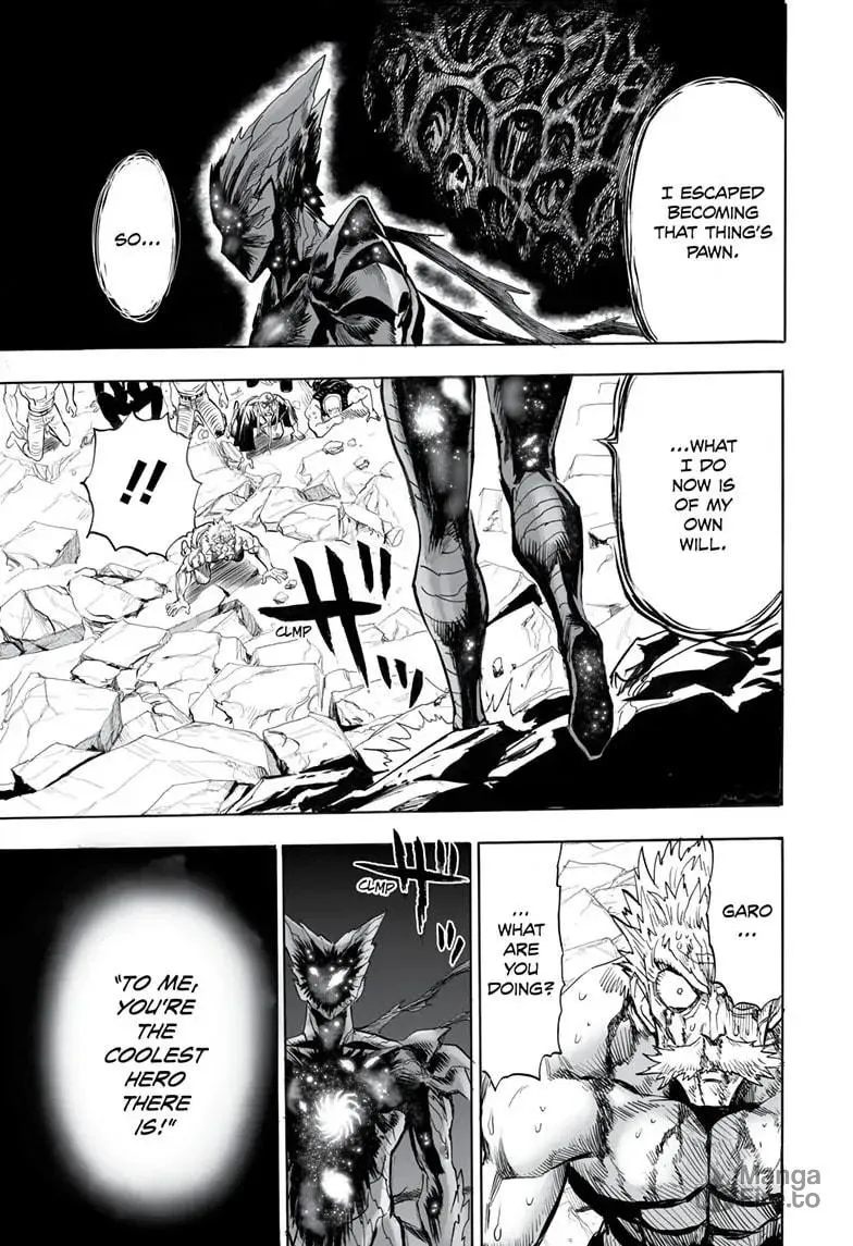 One Punch Man Chapter 163 page 40 - 