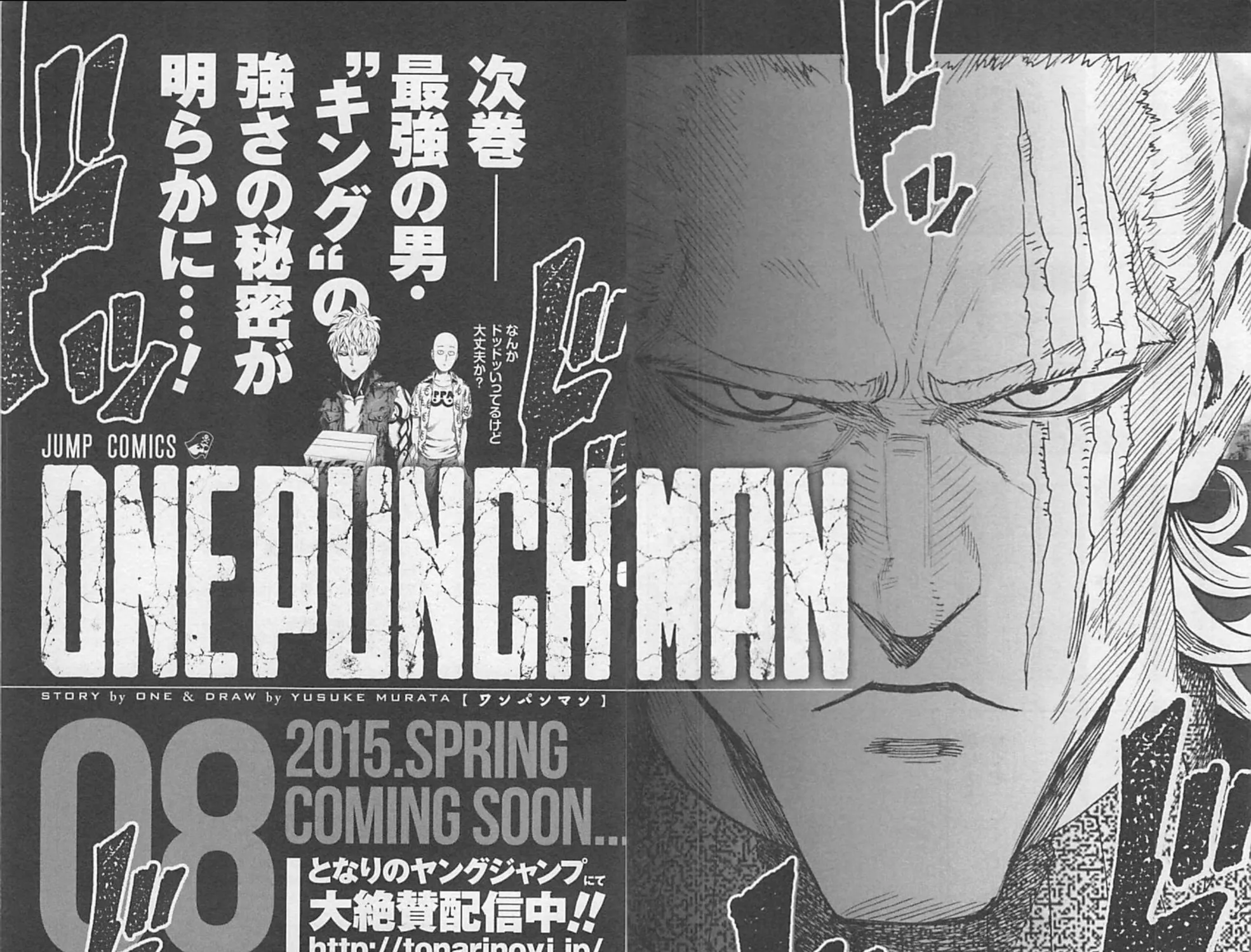 One Punch Man Chapter 37.8 page 29 - 