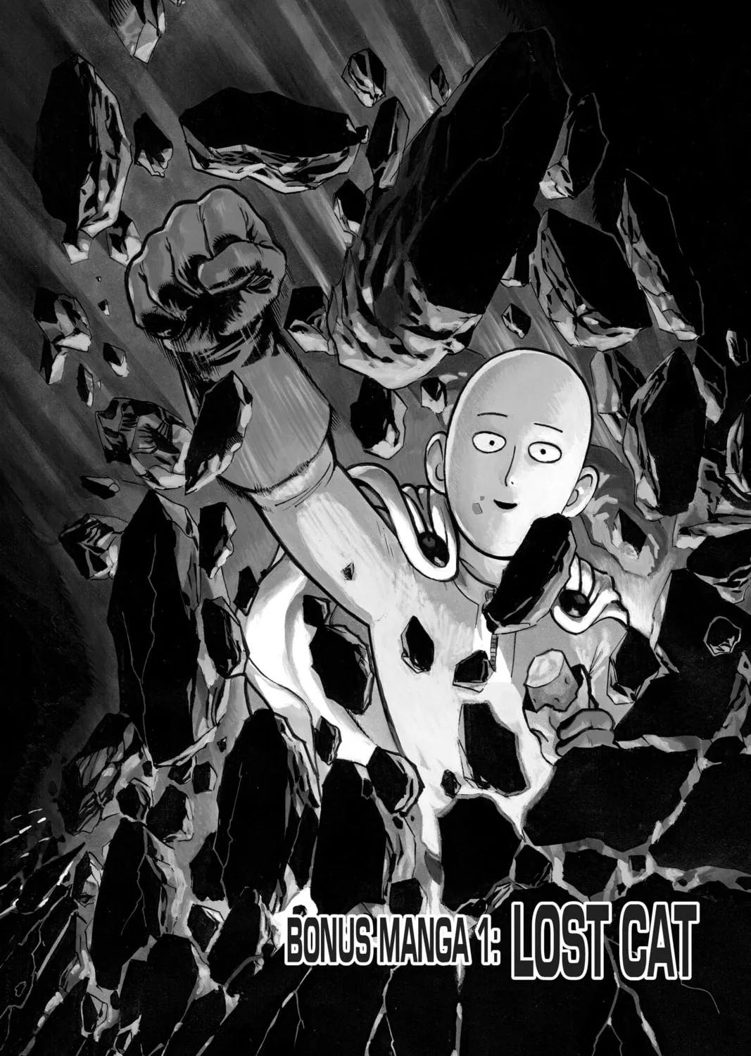 One Punch Man Chapter 40.5 page 1 - 
