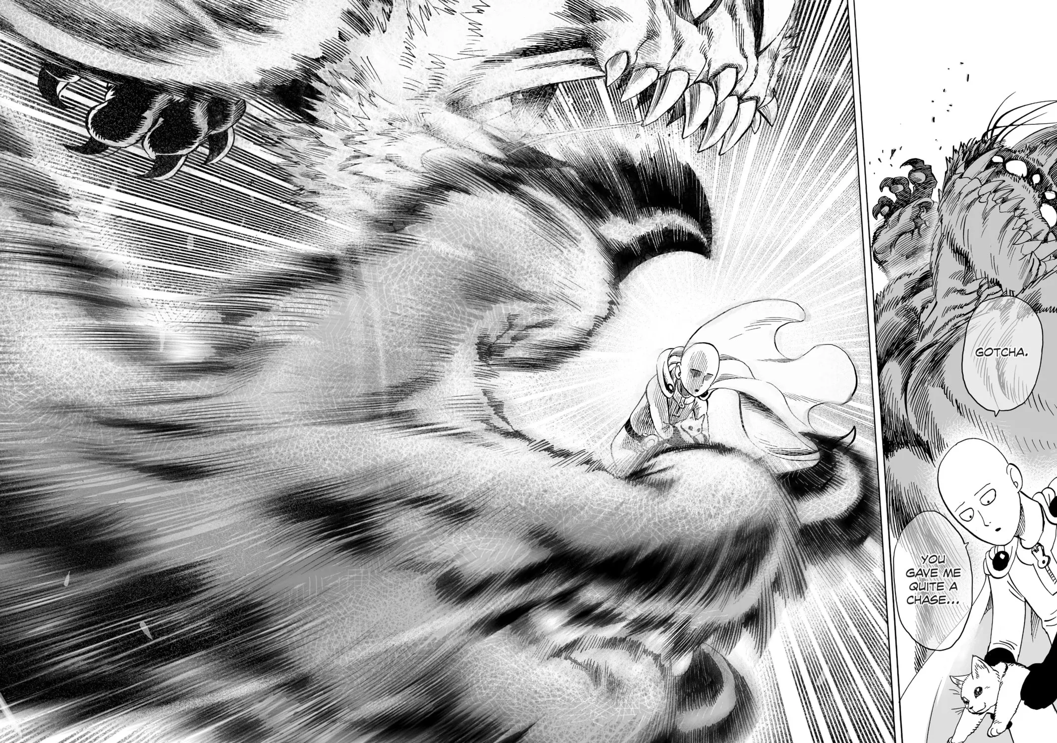 One Punch Man Chapter 40.5 page 55 - 