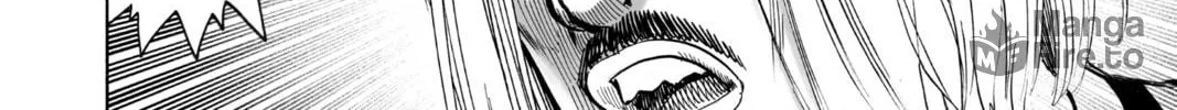 One Punch Man Chapter 66.6 page 18 - 