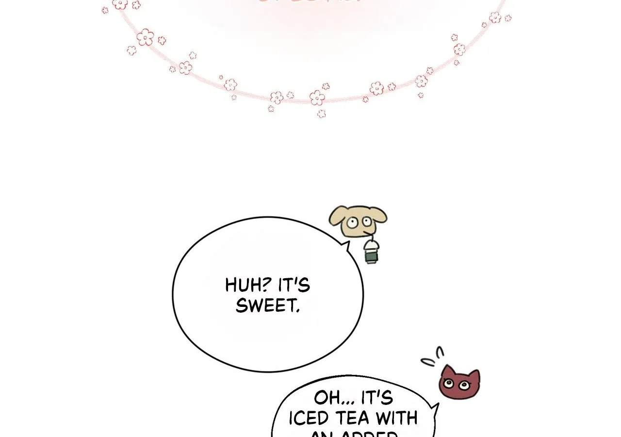 One room TA Chapter 11 page 119 - 
