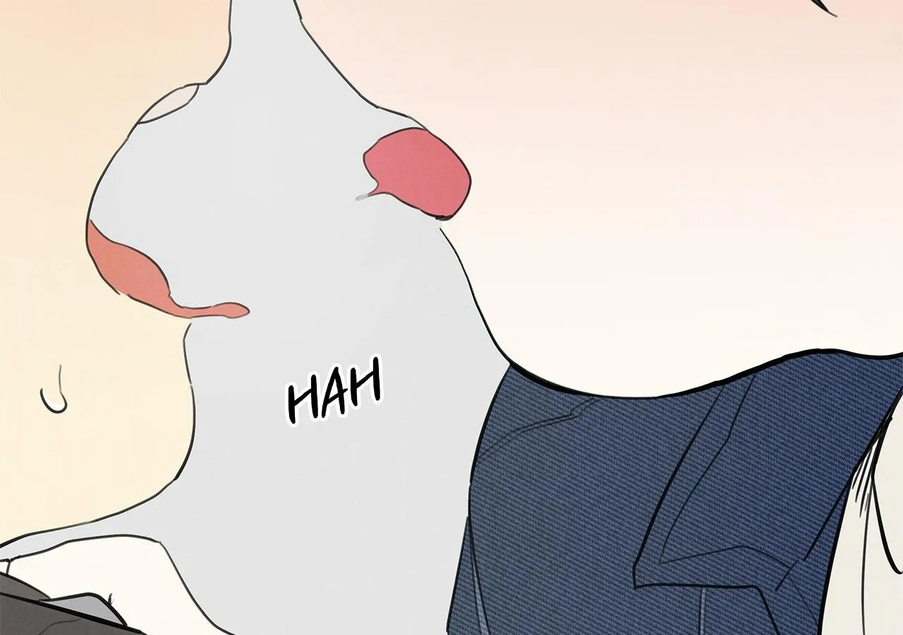 One room TA Chapter 13 page 97 - 
