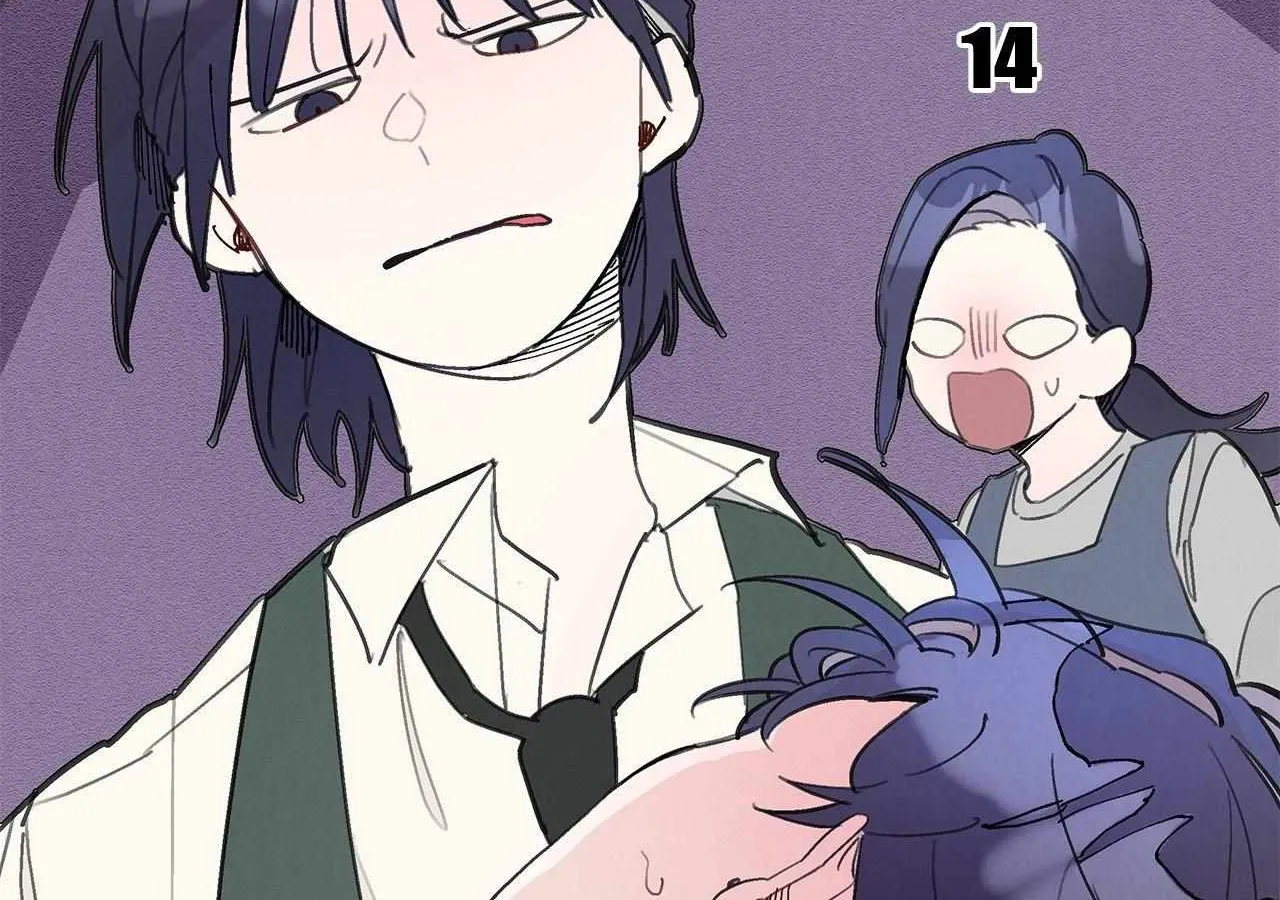 One room TA Chapter 14 page 14 - 