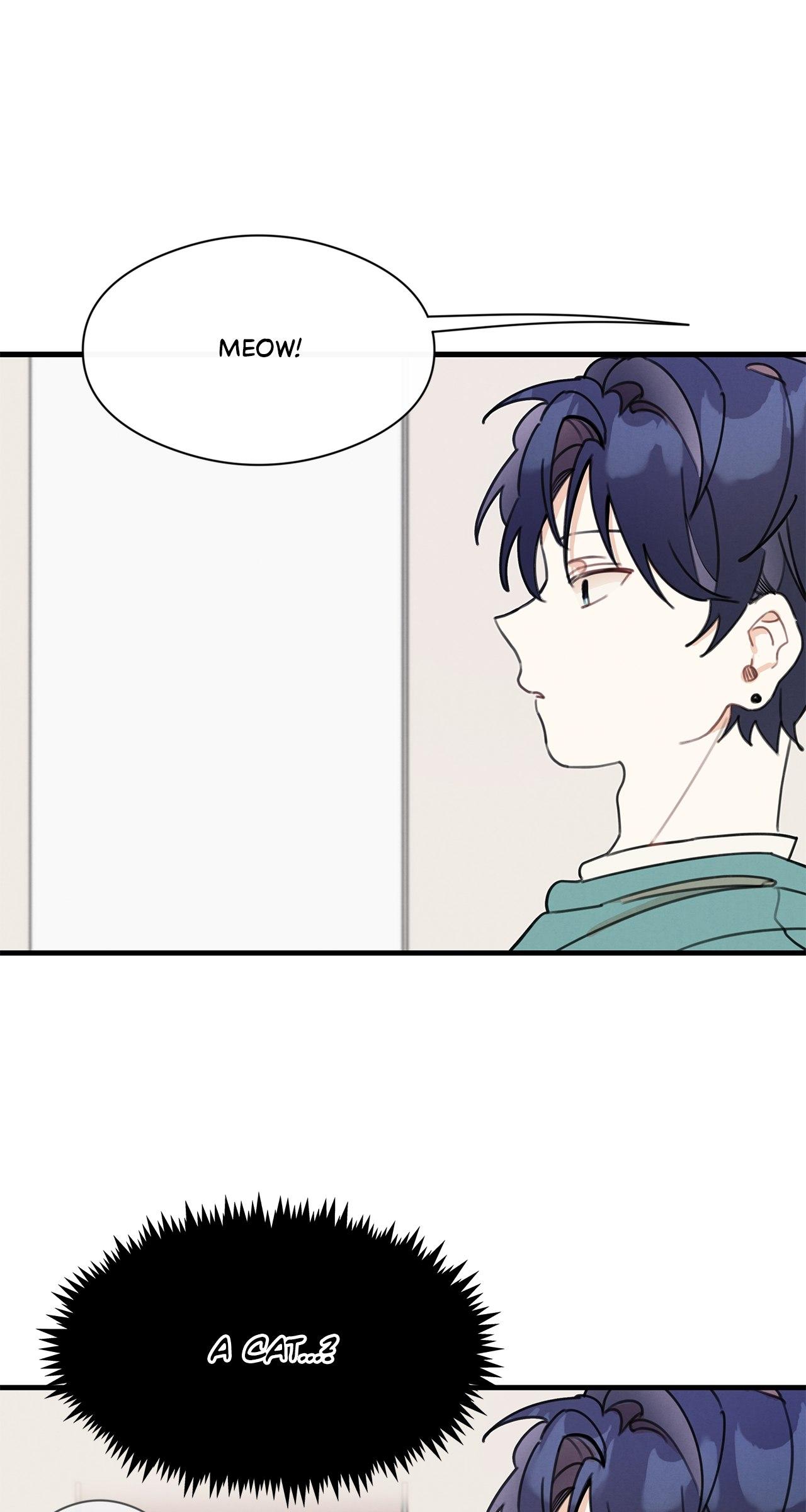 One room TA Chapter 7.1 page 44 - 