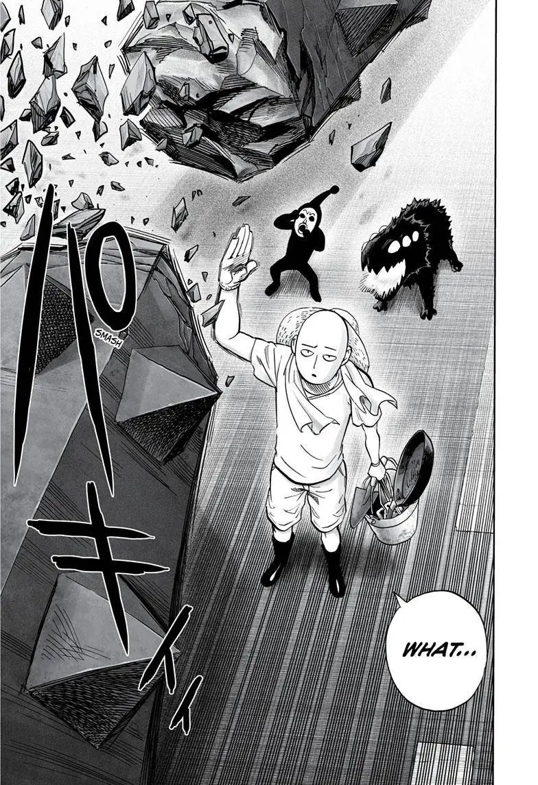 Onepunch-Man Chapter 172 page 20 - 