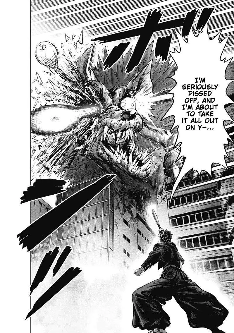 Onepunch-Man Chapter 180 page 29 - 