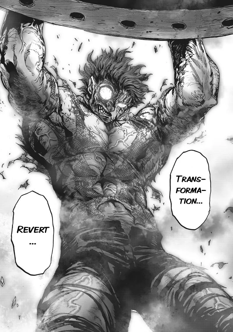 Onepunch-Man Chapter 215 page 22 - 