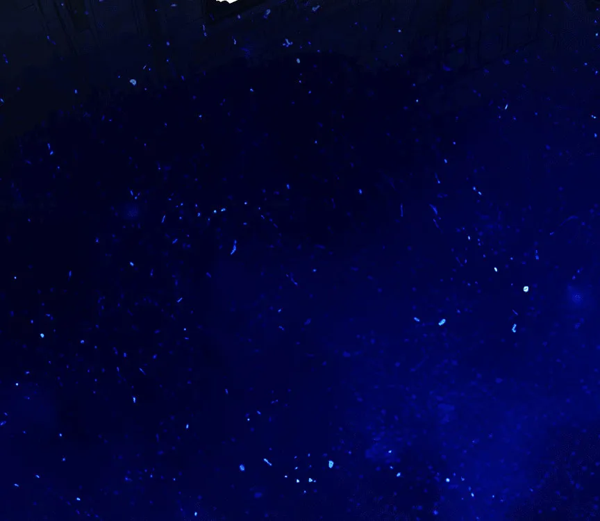 Only for Love Chapter 34 page 37 - 