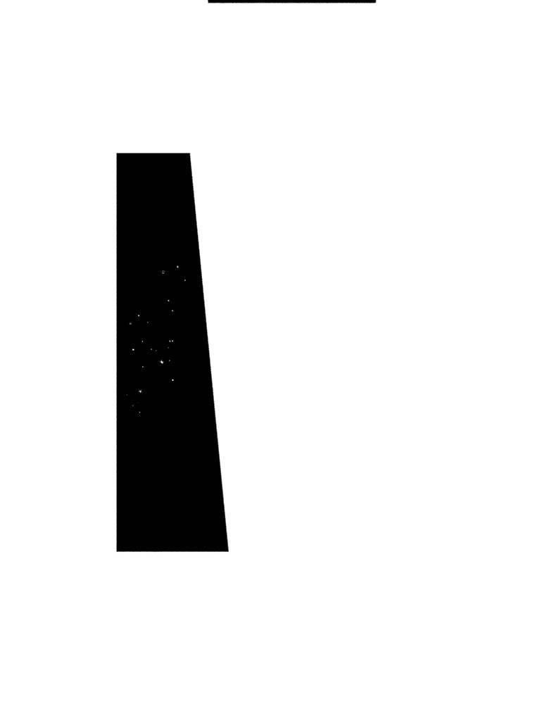Only I Know That This World is a Game Chapter 70 page 77 - 