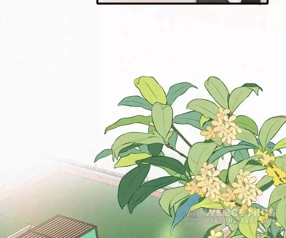 Only Love Chapter 143 page 19 - 