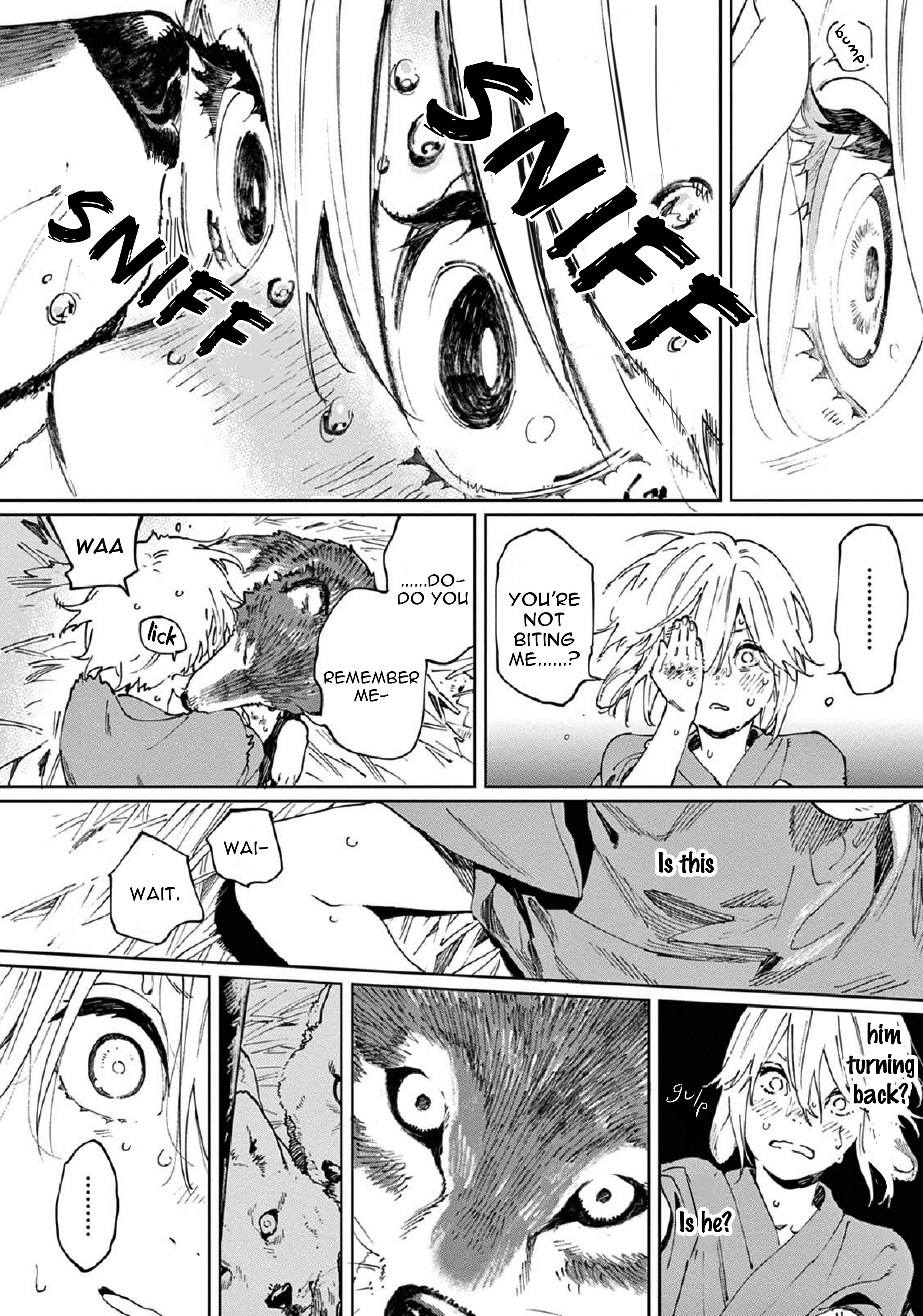 Ookami e no Yomeiri ～Ishu Kon