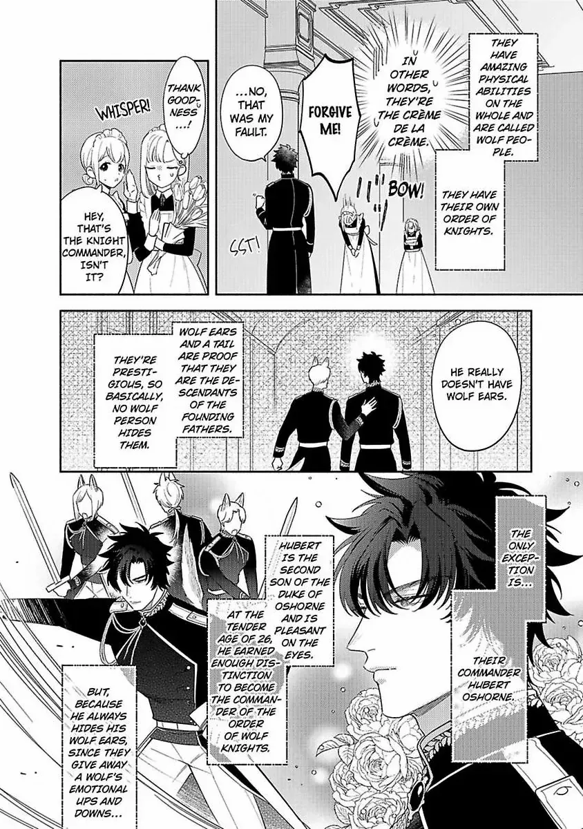 Ookami Kishi-sama ga Watashi wo Sukisugite Sotobori wo Umete Kimasu!? - Dekasegi Reijou Kekkon Monogatari Chapter 1 page 11 - 