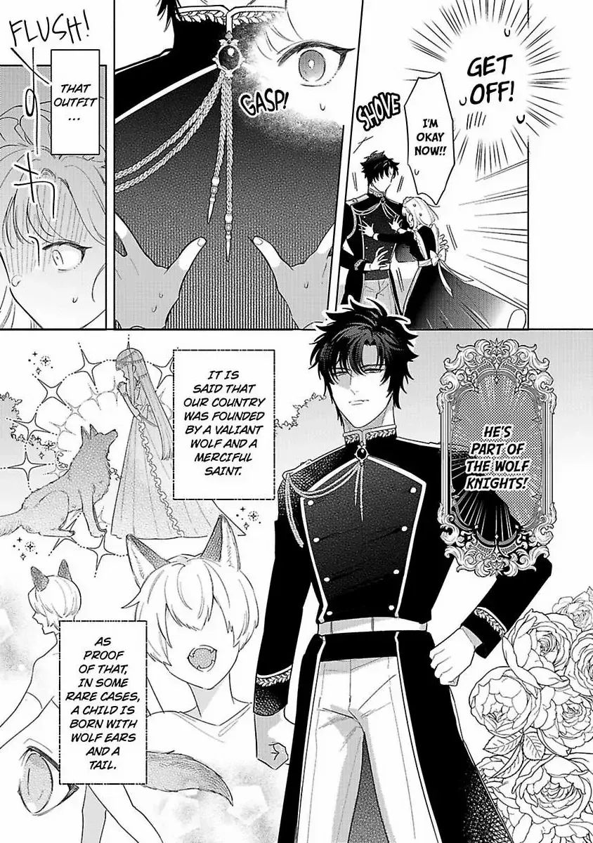 Ookami Kishi-sama ga Watashi wo Sukisugite Sotobori wo Umete Kimasu!? - Dekasegi Reijou Kekkon Monogatari Chapter 1 page 10 - 