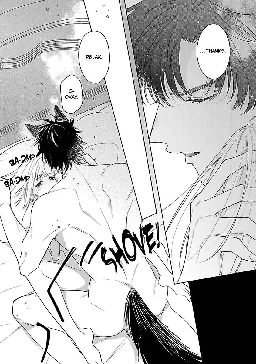 Ookami Kishi-sama ga Watashi wo Sukisugite Sotobori wo Umete Kimasu!? - Dekasegi Reijou Kekkon Monogatari Chapter 2 page 16 - 